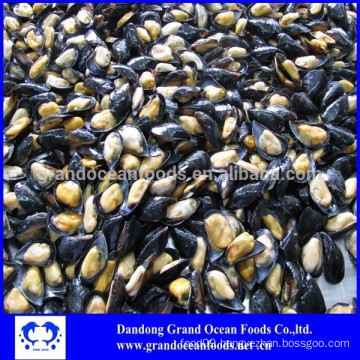 Frozen mussels meat with half shell